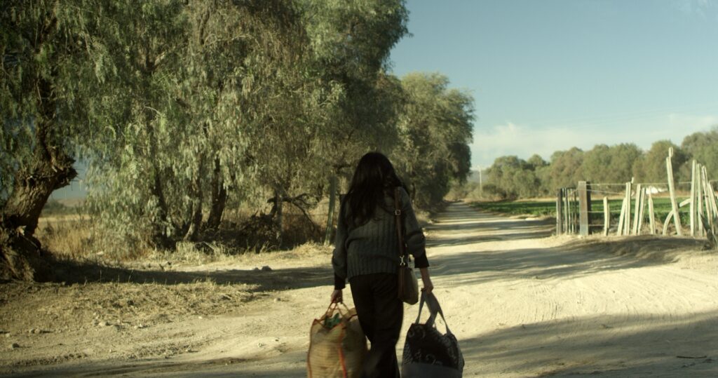 Une femme marchant avec des sacs